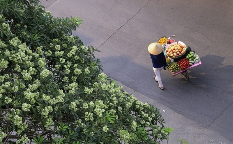 Changing some living habits helps improve health in the fall. Photo: Thuy Dang