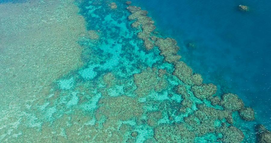 Ran san ho Great Barrier o bang Queensland, Australia, ngay 2.6.2021. Anh: Xinhua