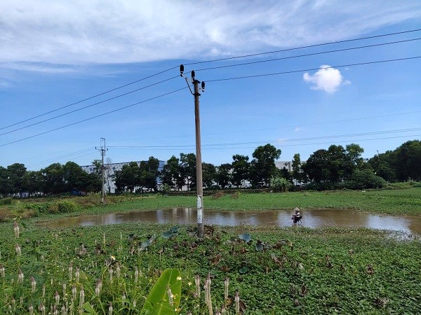 Bộ Nông nghiệp và Môi trường hướng dẫn làm sổ đỏ đất khai hoang trước 1993