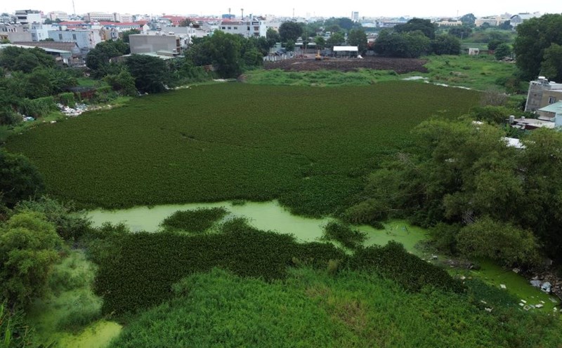 Starting construction of a park at Tan Chanh Hiep fish pond in the North of Ho Chi Minh City