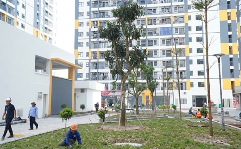 Income conditions for buying social housing according to new regulations
