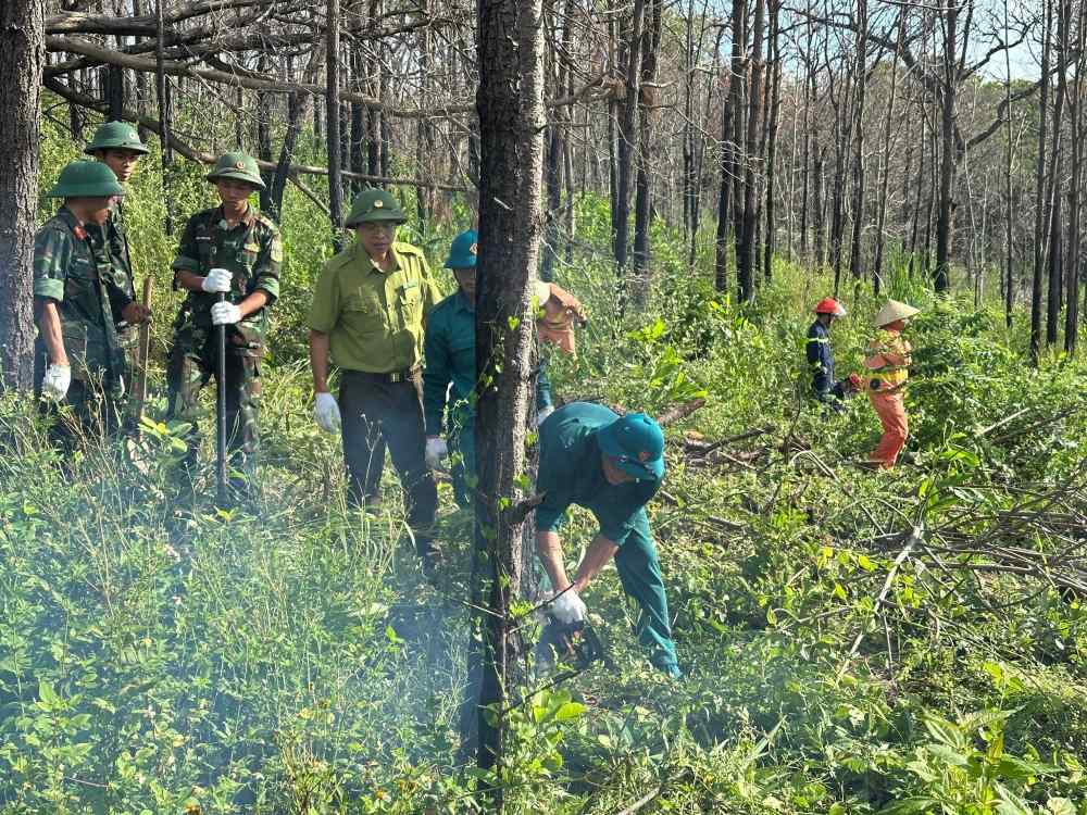The eel workers rushed out to clear the broken trees on Highway 46. Photo: Co thang TDT thang do Son, Hai Phong