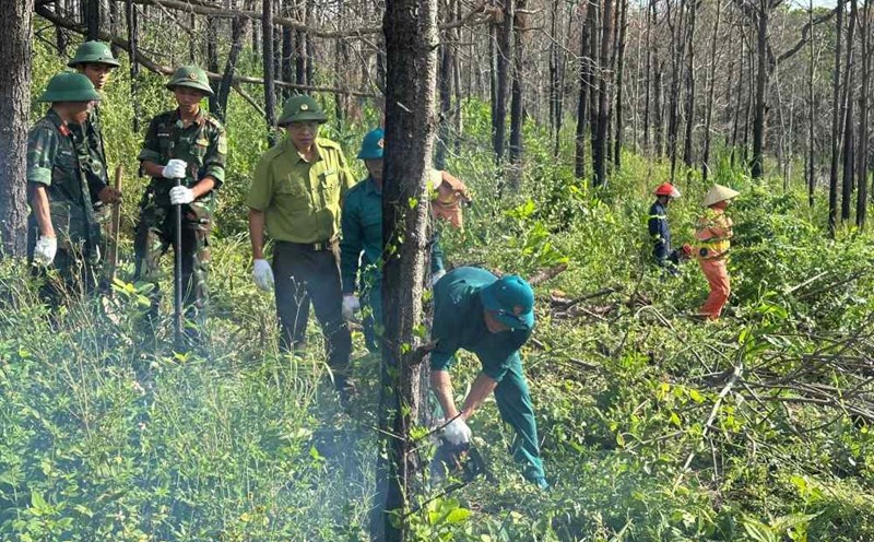 The eel workers rushed out to clear the broken trees on Highway 46. Photo: Co thang TDT thang do Son, Hai Phong