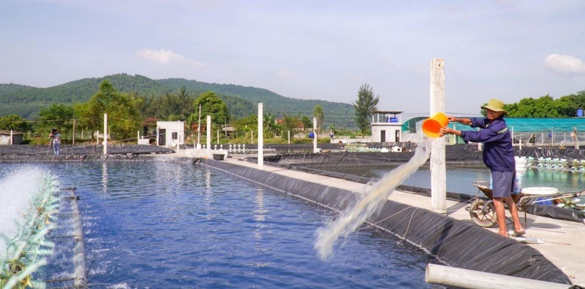 Nông dân Nghe An dung chế phẩm sinh hoc tao môi trường nước sach cho ao tôm. Anh: Thanh Phuc