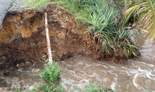 Dưới sức ép của dòng nước chảy mạnh, đất trong lòng cống bị khoét rỗng, nước nhanh chóng tràn vào khu vực đất sản xuất nông nghiệp. Ảnh: Duy Minh