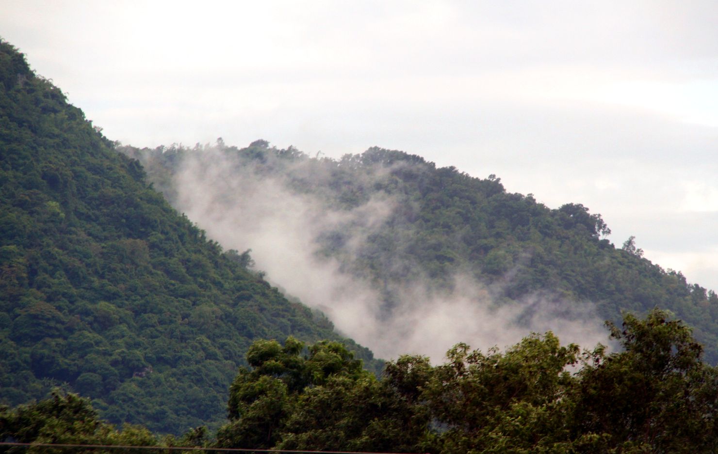 Do cao cung tham thuc vat cua rung nguyen sinh... da giup Nui Cam nhu tien nu quanh nam quan minh trong man suong mo ao cua may. Anh: Thanh Mai