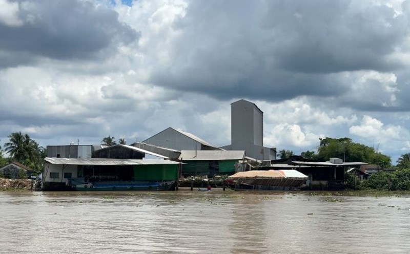 Quoi An residents are worried about the untreated ash and dust, requesting the factory to close before November 15. Photo: Hoang Loc