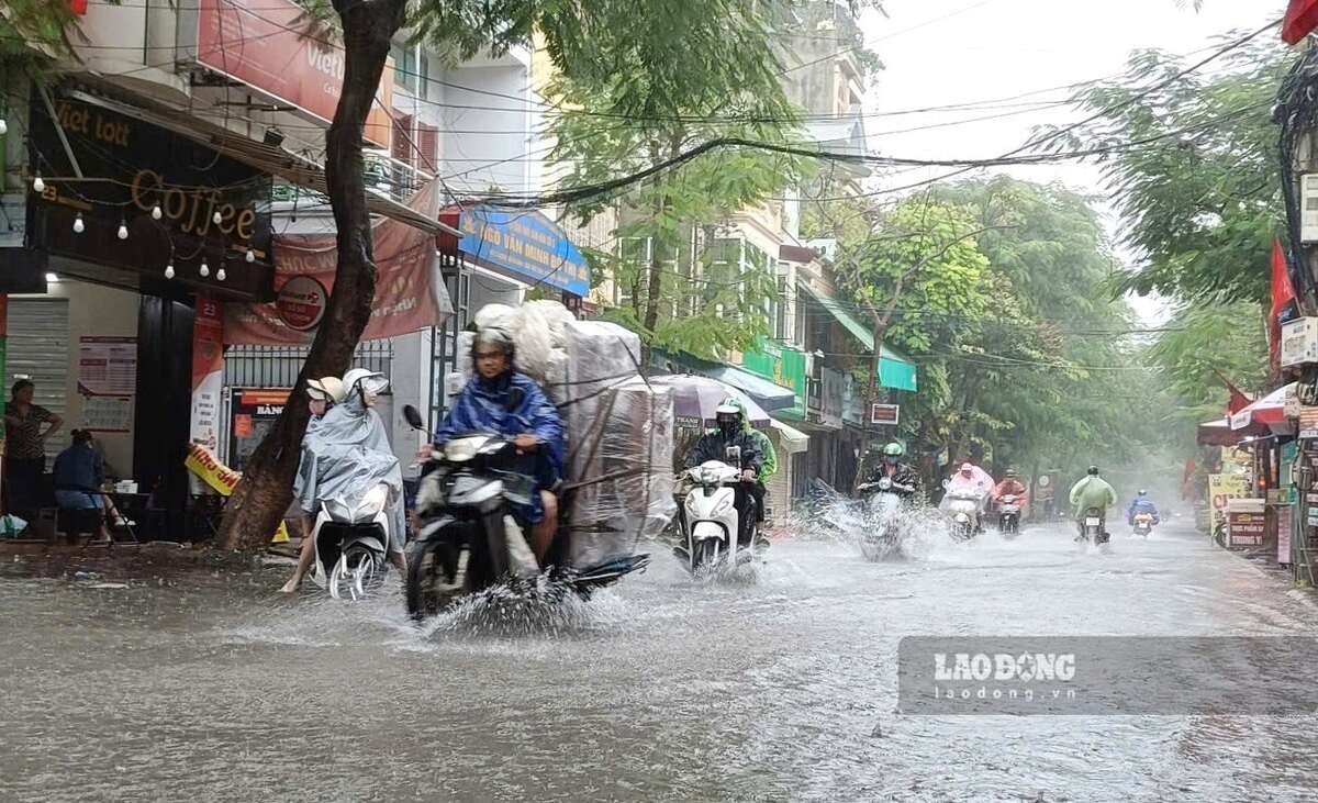 The fish station is at Nguyen Binh, Gia Vien, Hai Phong City on the morning of October 14. Photo: Mai Dung