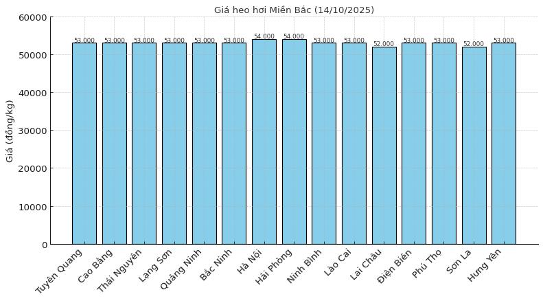 Gia heo hoi mien Bac ngay 14.10. Do hoa: Thuy Linh