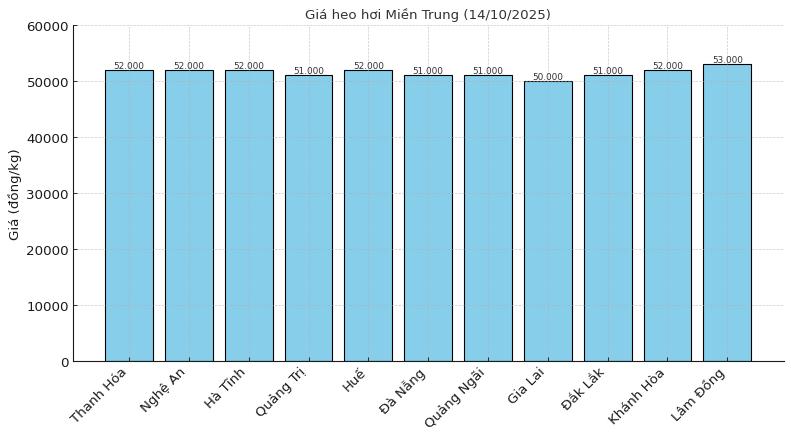 Gia heo hoi mien Trung ngay 14.10. Do hoa: Thuy Linh