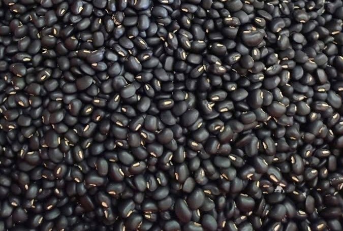 Black beans are good for people who want to reduce visceral fat if eaten properly. Photo: Kieu Vu.
