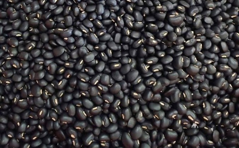 Black beans are good for people who want to reduce visceral fat if eaten properly. Photo: Kieu Vu.