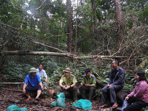 Viec mua ban, tieu thu dong vat rung quy hiem se bi xu ly hinh su. Anh: Thanh Tuan