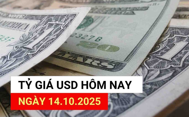USD exchange rate today, October 14, 2025.