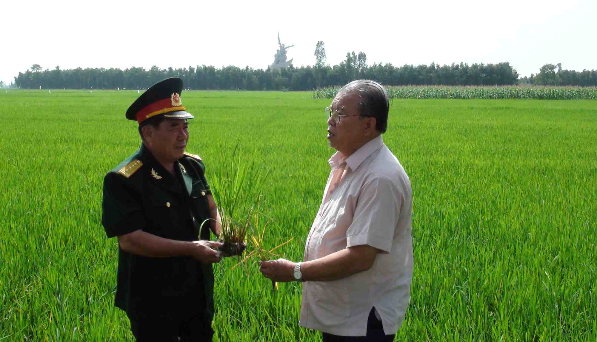 GS.TS Vo Tong Xuan (phai anh) va Dai ta Pham Ngoc Trong, hai nguoi tung tham gia vao cong cuoc khai thac Dong Thap Muoi tu nhung ngay dau, tro lai tham dong lua tai huyen Tan Hong, tinh Dong Thap, nam 2021. Anh: LUC TUNG
