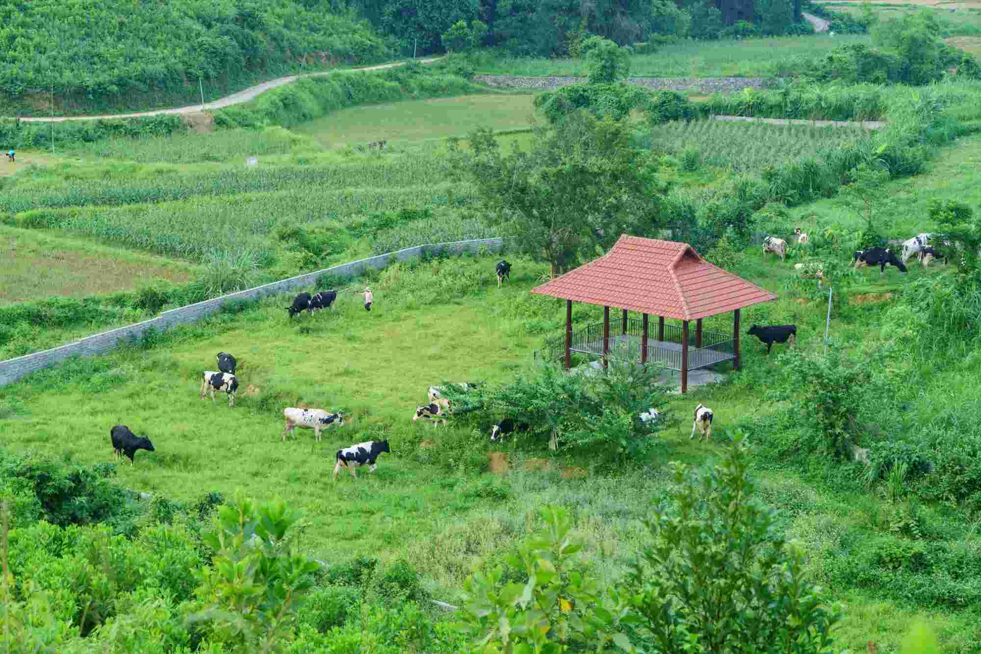 Dan bo co thoi gian van dong tu do, thong dong trong khong gian song trong lanh. Anh: Nhan vat cung cap