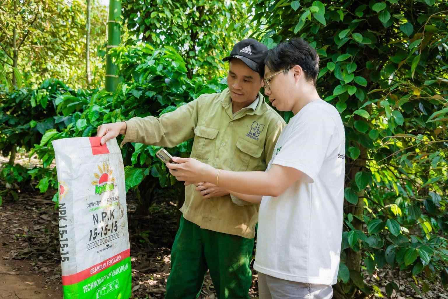 In recent years, Simexco Daklak has supported farmers in raw material areas to improve farming and fertilizer techniques to increase coffee plant productivity. Photo: Simexco Daklak