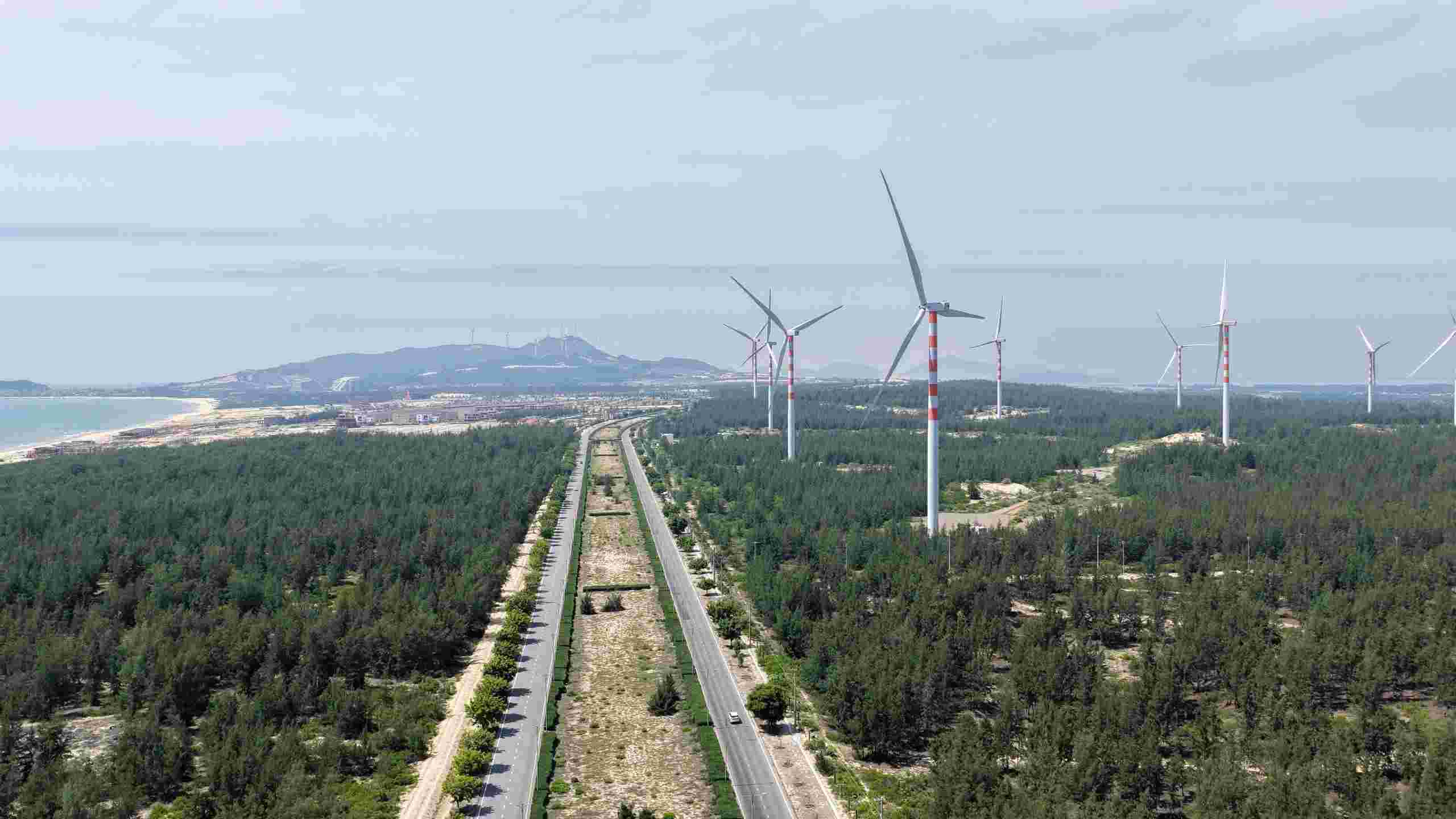 ドンザーライの風力発電所。写真: タン・トゥアン