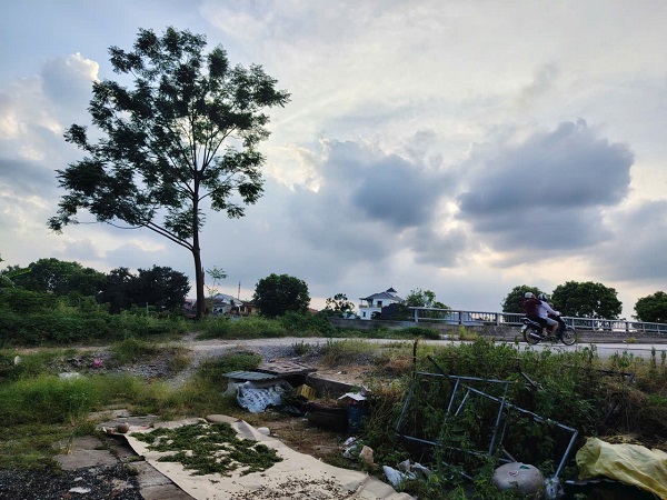 多くの人々が農地に関する規制に関心を持っています。写真:Xuyen Dong