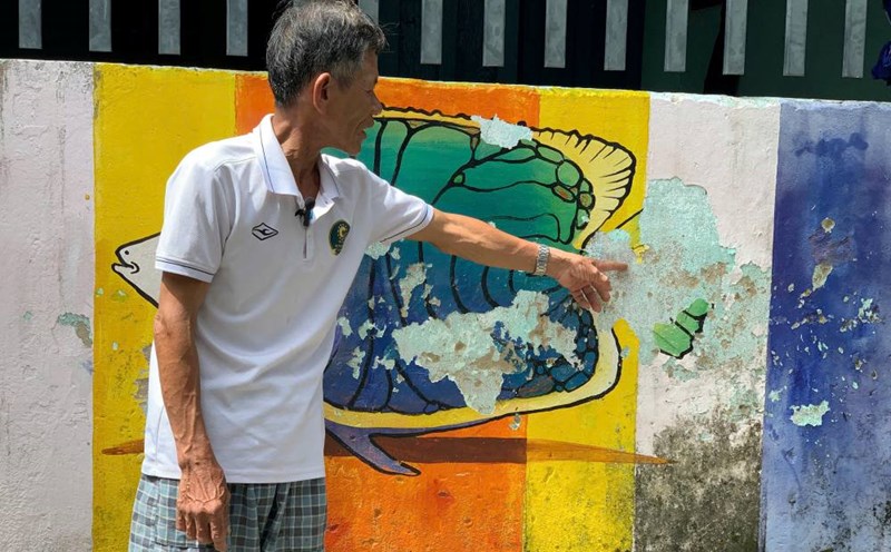 Las paredes se desvanecen y la barroca se cubre por completo la gente espera restaurar la calle bich hoa de Da Nang. Foto: Thanh Huyen