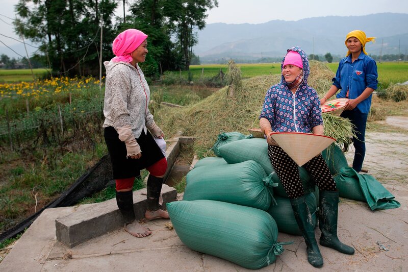 Vocational training and job creation are considered the foundation to help poor households in Hung Yen rise up by themselves. Photo: Hai Nguyen