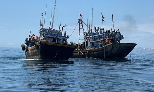 Cặp tàu cá giã cào bay vi phạm khai thác thủy sản bị Biên phòng Lâm Đồng bắt giữ trưa 14.10. Ảnh: Duy Tuấn