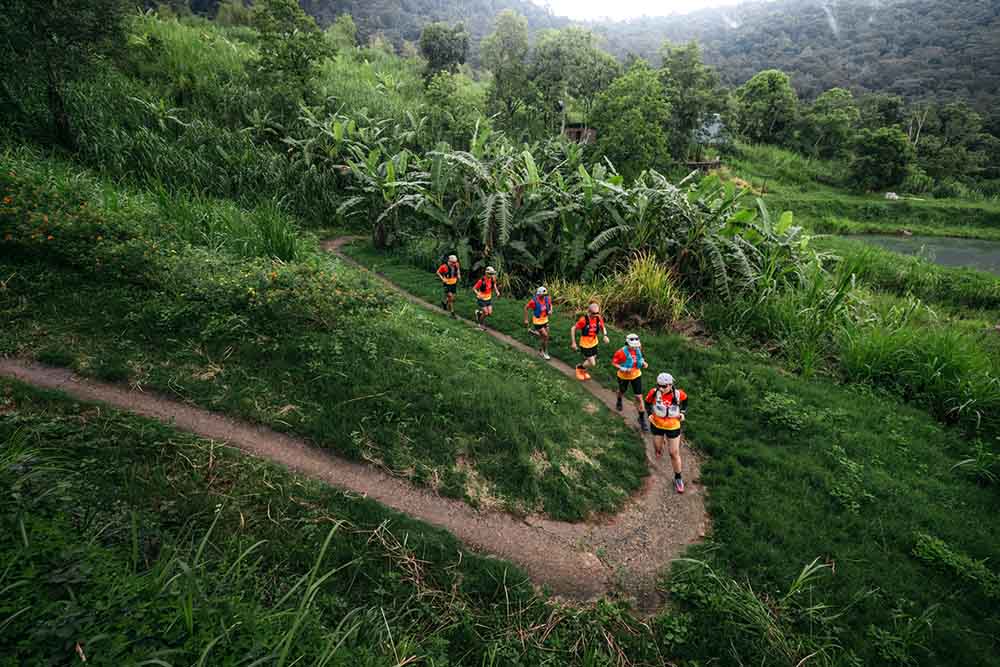 베트남 하이랜드 트레일 2025의 낭만적인 풍경 속 언덕길. 사진: 조직위원회