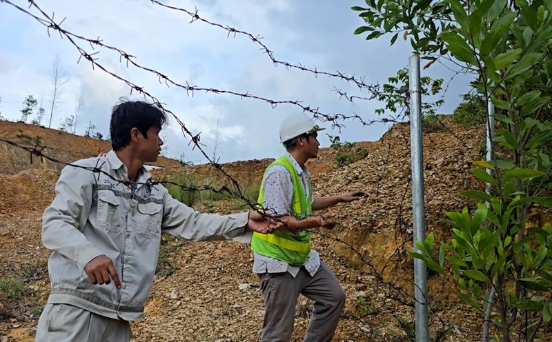 The highway protection fence is constantly cut, and will be ambushed to arrest the saboteurs. Photo: Hung Tho