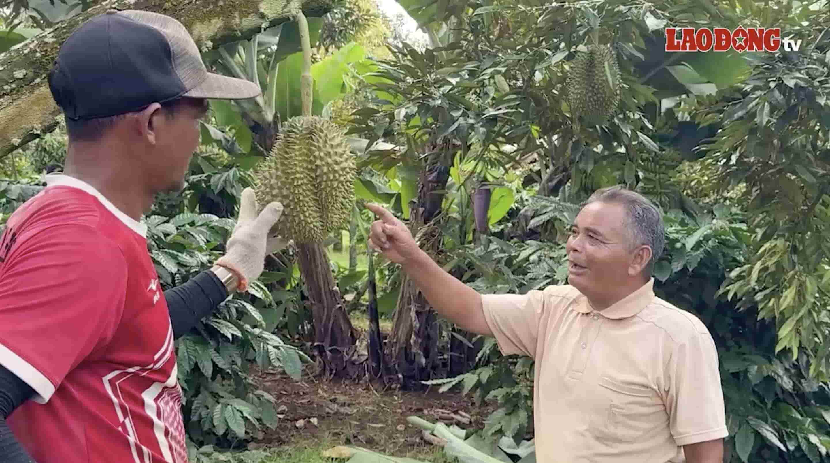 The government of Krong Nang commune in poverty reduction understands the consequences thanks to effective guidelines from the grassroots. Photo: Bao Trung