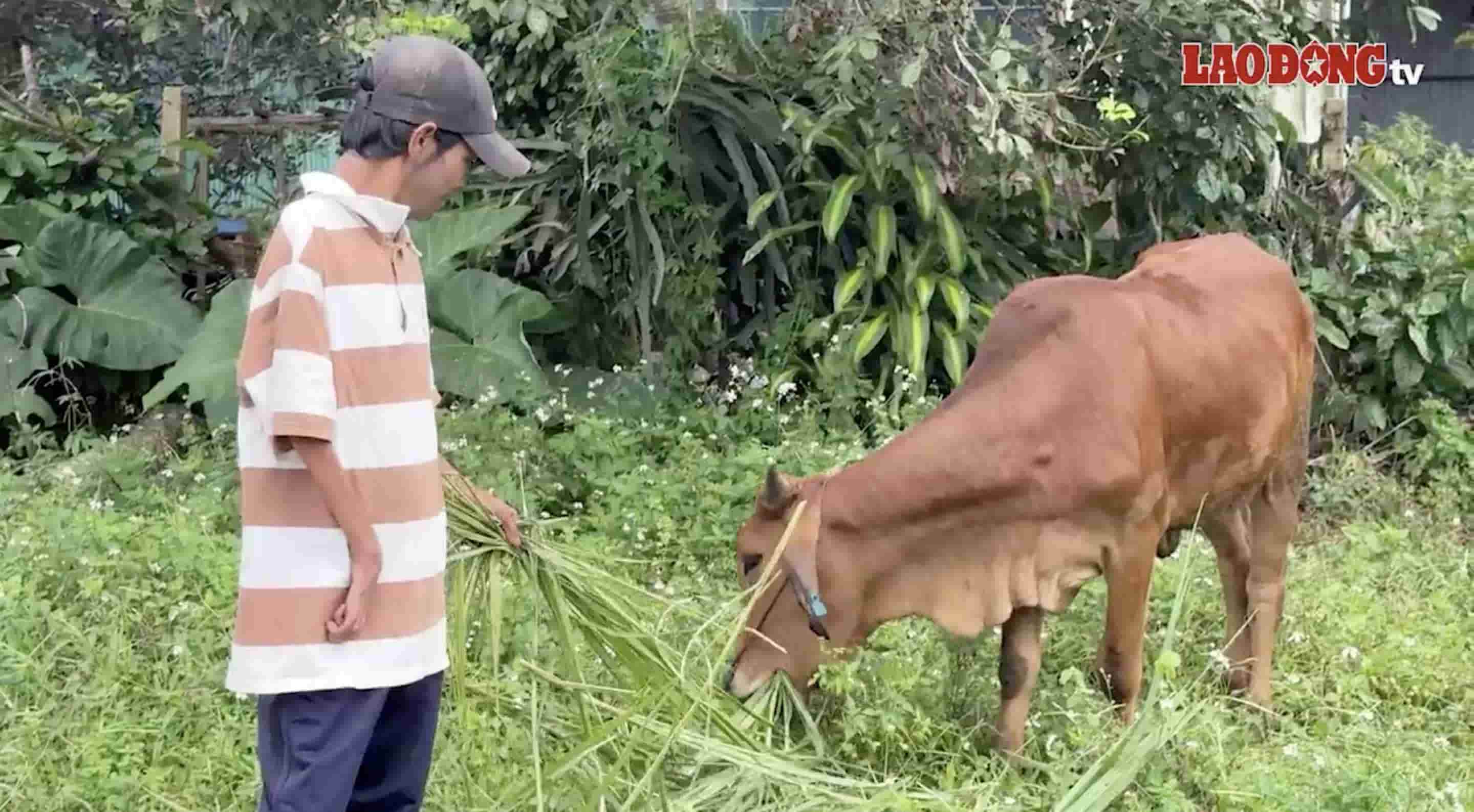 Les autorites de la commune de Krong Nang se fixent pour objectif de reduire efficacement la pauvrete dans la periode a venir. Photo : Bao Trung