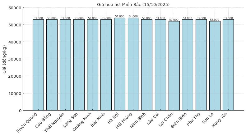 Gia heo hoi tai mien Bac ngay 15.10. Do hoa: Thuy Linh