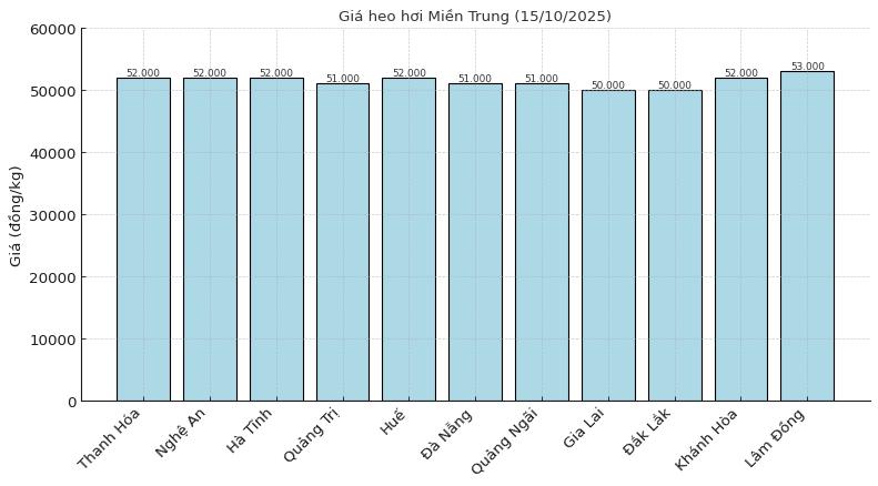 Gia heo hoi tai mien Trung ngay 15.10. Do hoa: Thuy Linh
