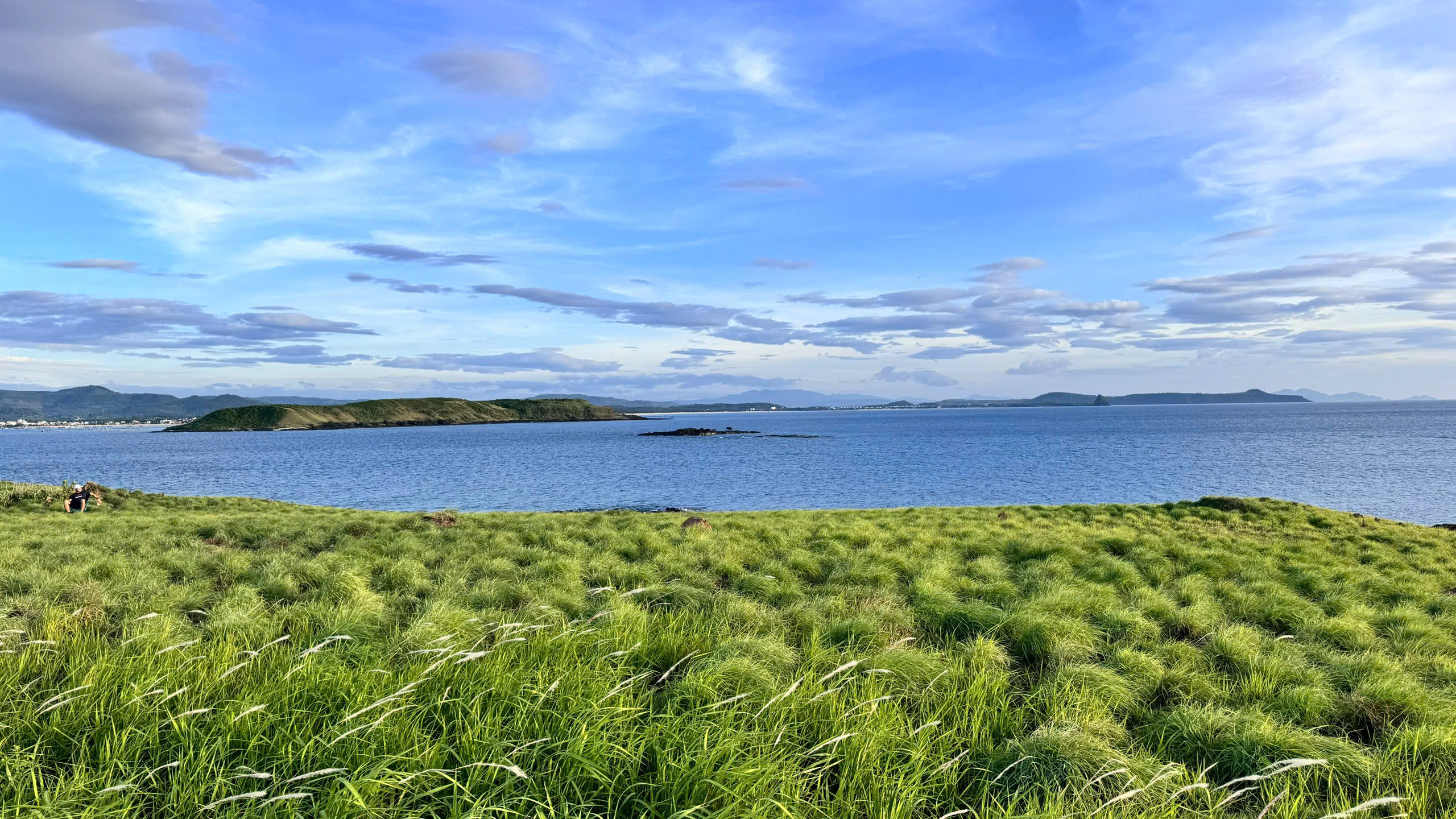 Auf der Insel Hon Dua gibt es ausgedehnte Grasflächen. In der Trockenzeit verfärbt sich das Gras leuchtend gelb bis feuergelb. In der Regenzeit wächst das Gras wieder üppig und bedeckt die ganze Insel mit einem üppigen grünen Mantel.