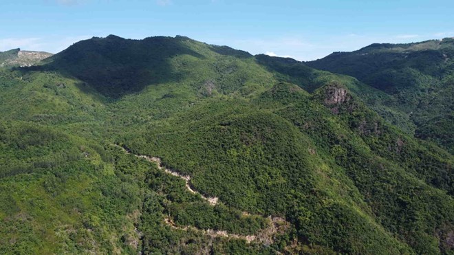 The locality is considering changing the purpose of forest use to build Phuoc Tien Industrial Cluster in Khanh Hoa. Photo: Huu Long