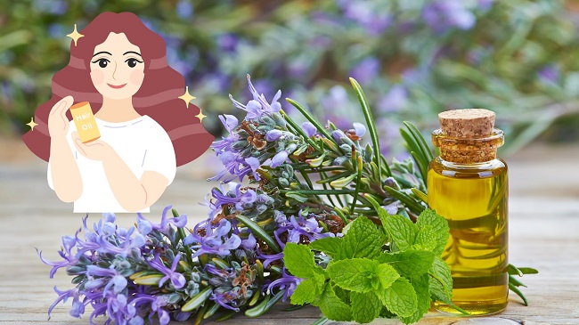 Dau bac ha – huong thao: Bi quyet tu nhien giup toc moc nhanh va chac khoe. Do hoa: Minh Hoang