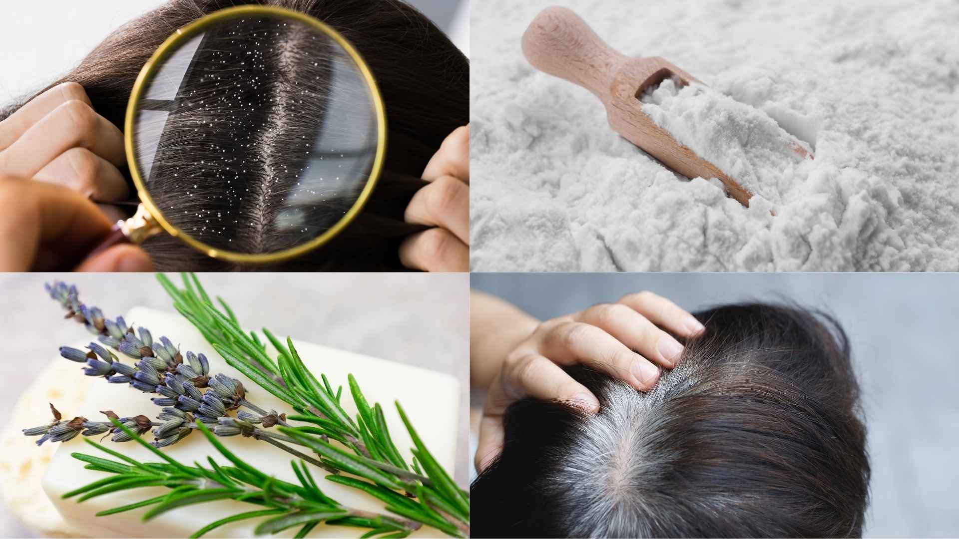 Dau xa tu sabudana va la huong thao giup giam gau va ngan ngua toc bac som. Do hoa: Minh Hoang