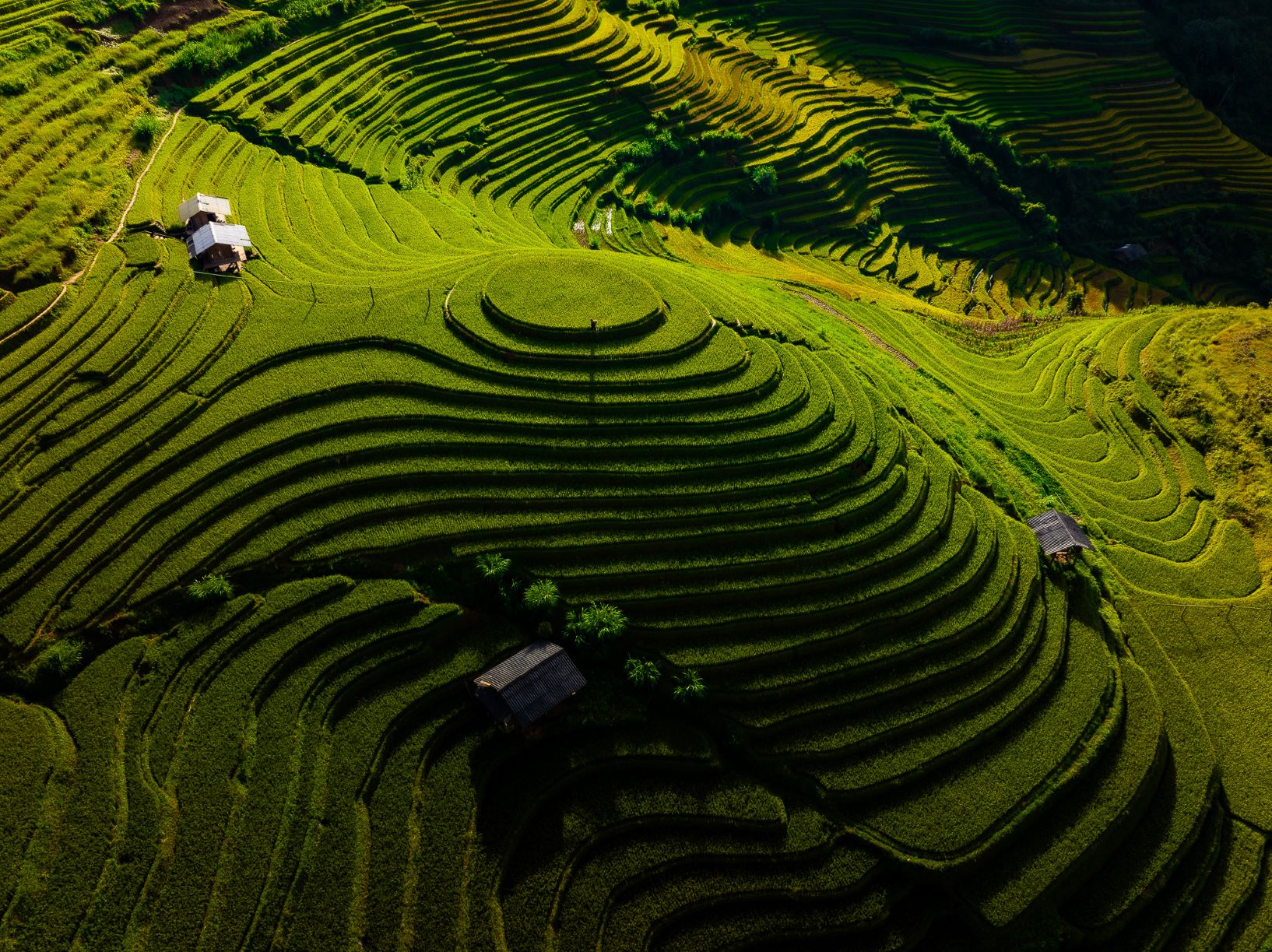 Ở Mù Cang Chải có hai khu đồi Mâm Xôi lớn và nhỏ nằm không cách xa nhau đều thu hút du khách tới chụp ảnh vào mùa lúa chín. Đây cũng là khu vực lúa chín muộn và thu hoạch sau cùng so với các ruộng bậc thang khác.