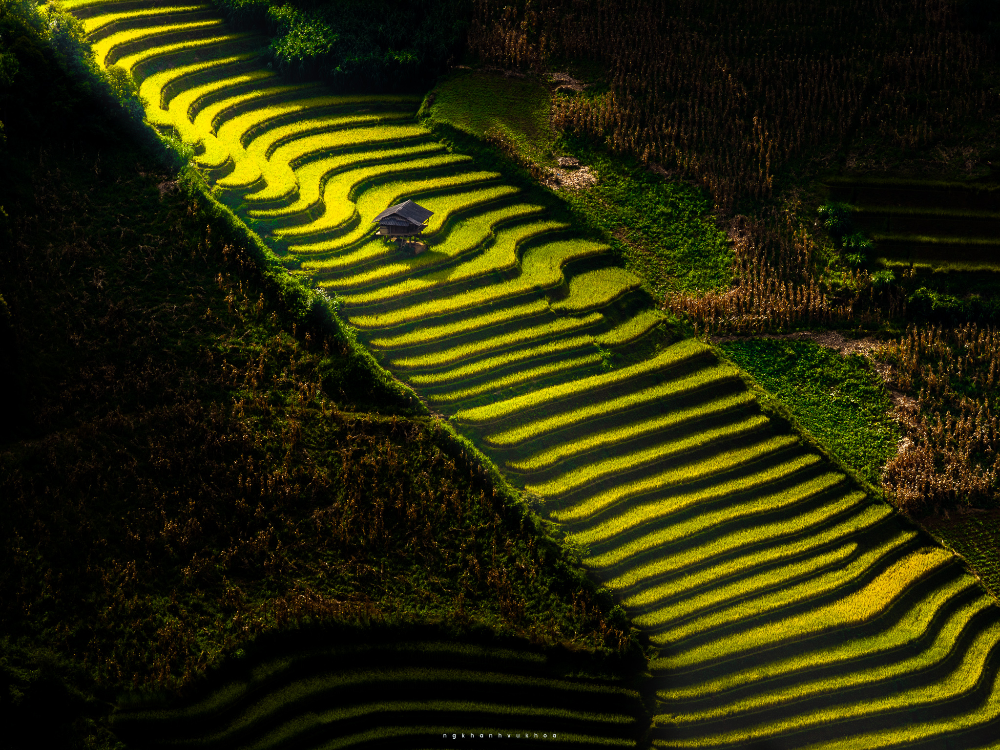 Ruộng bậc thang xếp lớp như những nấc thang lên thiên đường. Giữa khung cảnh thanh bình và nắng chiều vàng là một căn nhà gỗ của đồng bào H'Mông đơn sơ mộc mạc.
