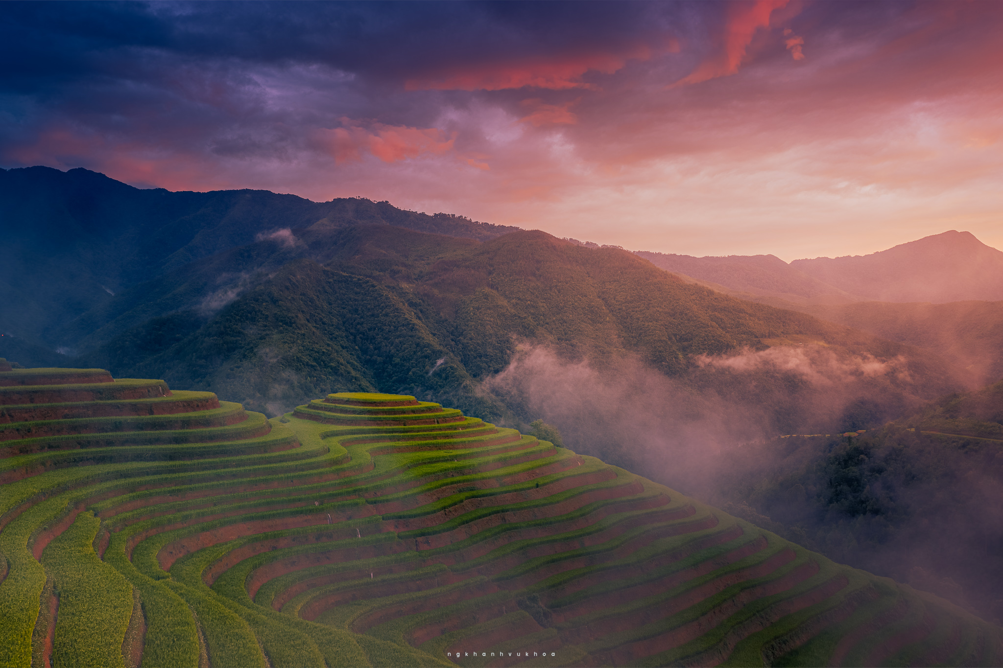 Ruộng bậc thang Lao Chải được nhuộm màu trong sắc tím hồng của buổi chiều muộn.