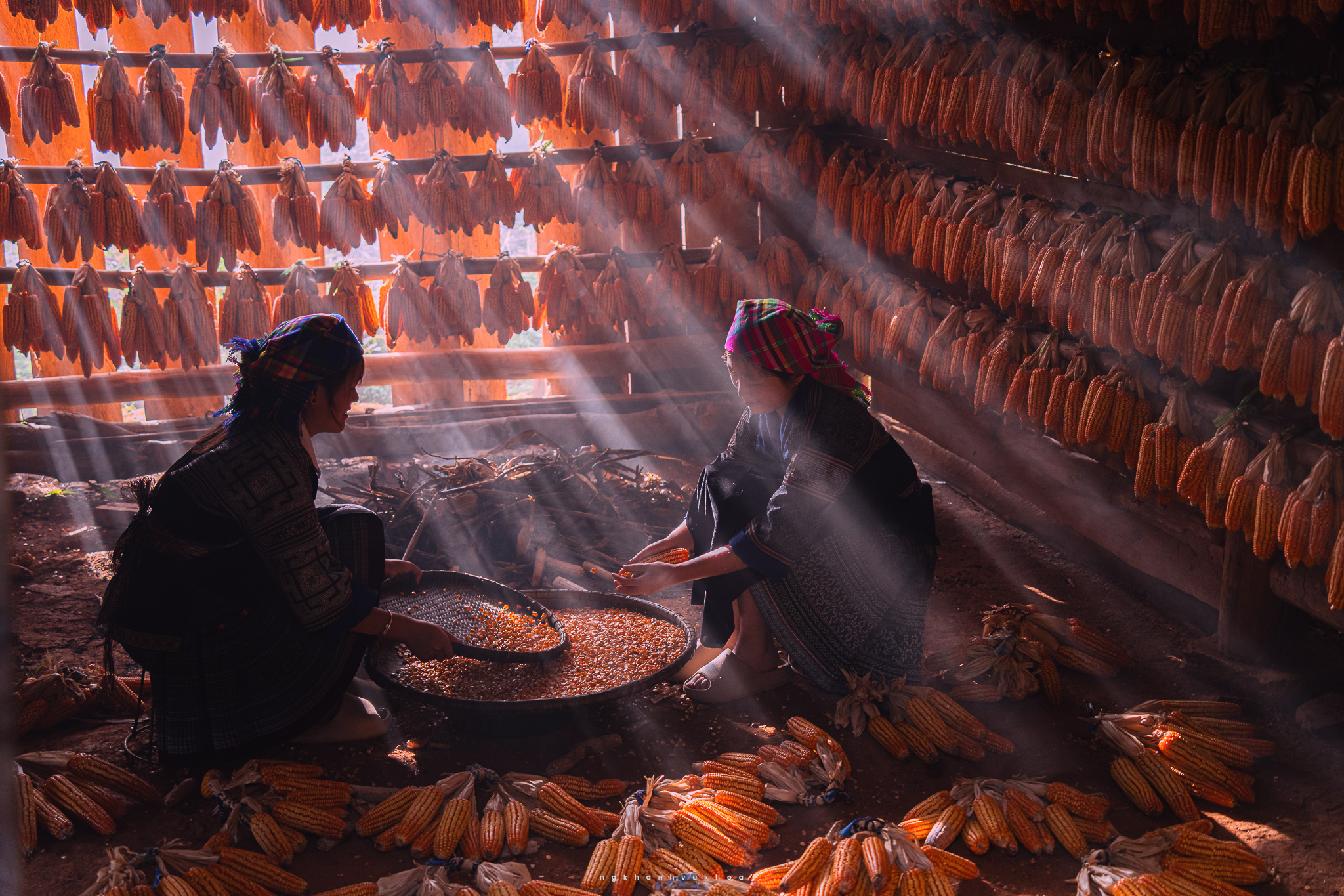 Ngôi nhà phơi ngô của người H'Mông trên đồi Móng Ngựa được phủ sắc vàng óng ả của nắng chiều. Ngô là nông sản phổ biến trồng nhiều ở vùng núi phía Bắc và đặc biệt quan trọng trong văn hóa, ẩm thực của người H'Mông. Họ thường thu hoạch và treo ngô phơi thành giàn trong các căn nhà sàn, không chỉ là cách bảo quản mà gần đây còn thu hút du khách, nhiếp ảnh gia tới chụp hình.