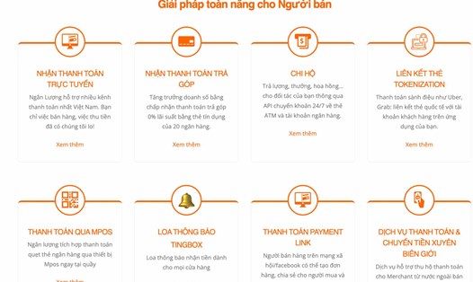 Ngân Lượng được xác định là mắt xích quan trọng trong việc truy vết hướng đi của dòng tiền trong hệ sinh thái của Shark Bình. Ảnh: Lục Giang