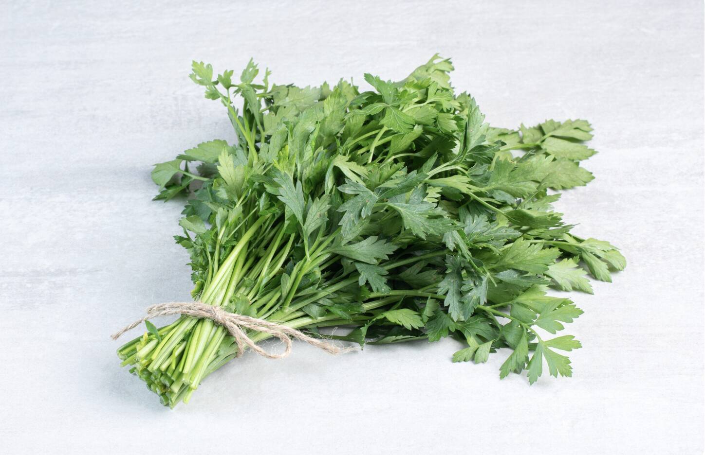 Coriander, a familiar vegetable, brings great health benefits. Photo: Thuy Duong