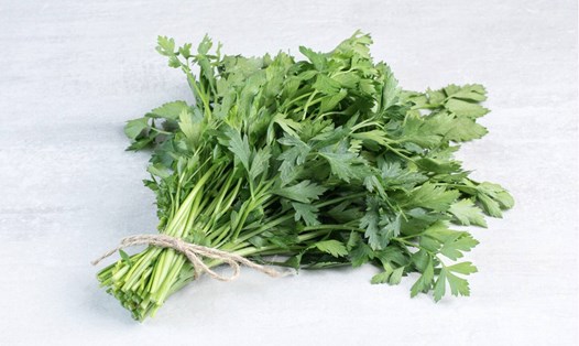 Rau mùi, loại rau quen thuộc mang lại lợi ích lớn cho sức khỏe. Ảnh: Thùy Dương