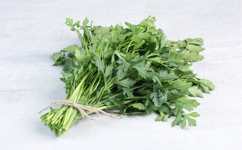 Coriander, a familiar vegetable, brings great health benefits. Photo: Thuy Duong