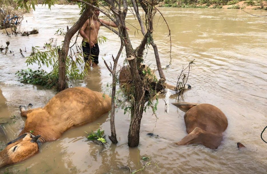 Natural disasters caused great damage to people in Dak Lak. Photo: Minh Anh