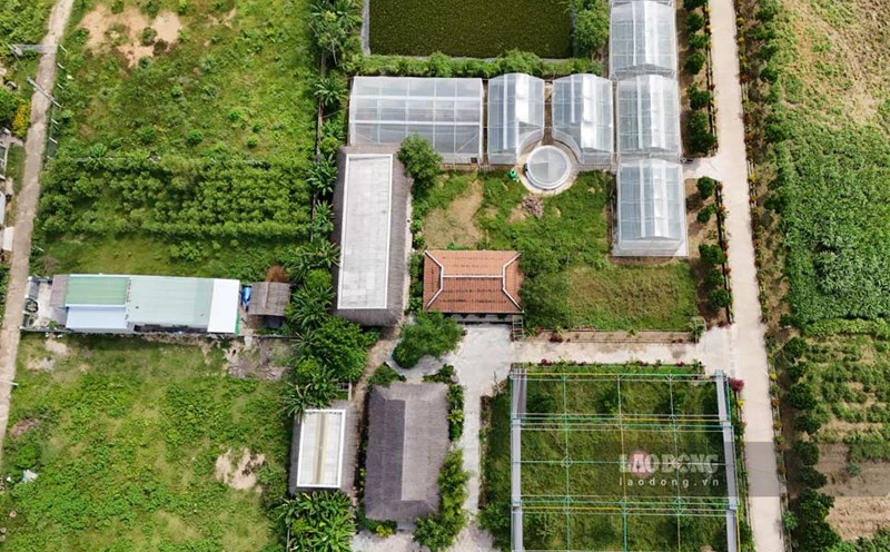 Safe Vegetable Production Project according to VietGAP standards in Canh Vinh commune, Gia Lai. Photo: Hoai Phuong