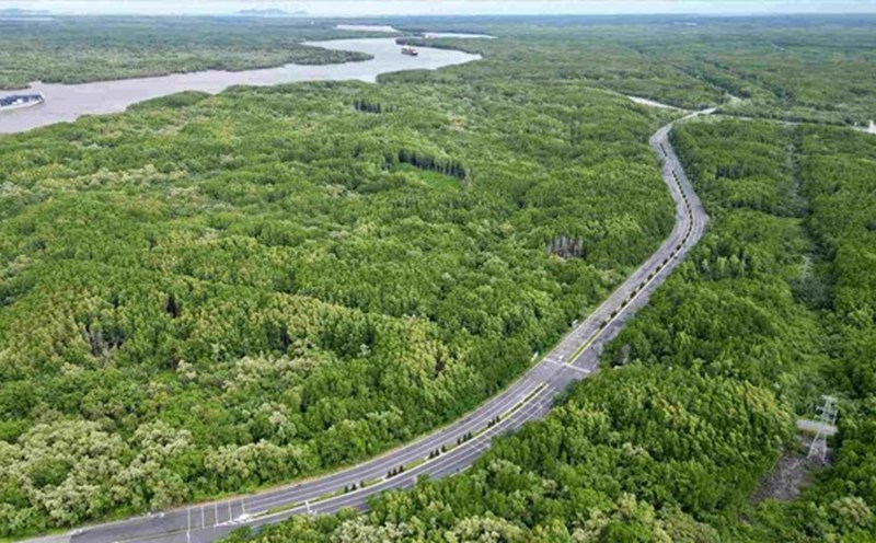 La linea de metro que conecta el centro de la ciudad de Ho Chi Minh con Can Gio circulara a lo largo de la calle Rung Sac. Foto: Anh Tu