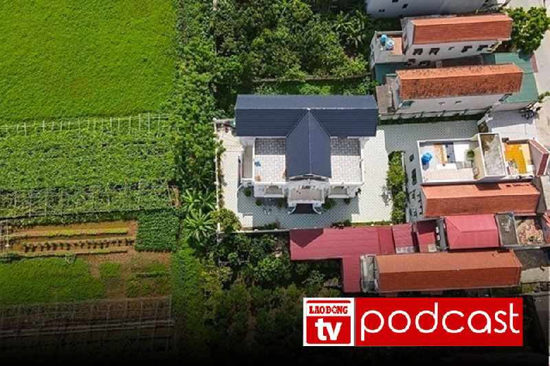 10월 16일 아침 뉴스: 새로운 토지 가격표 적용으로 벼 재배지 보상 가격 인상