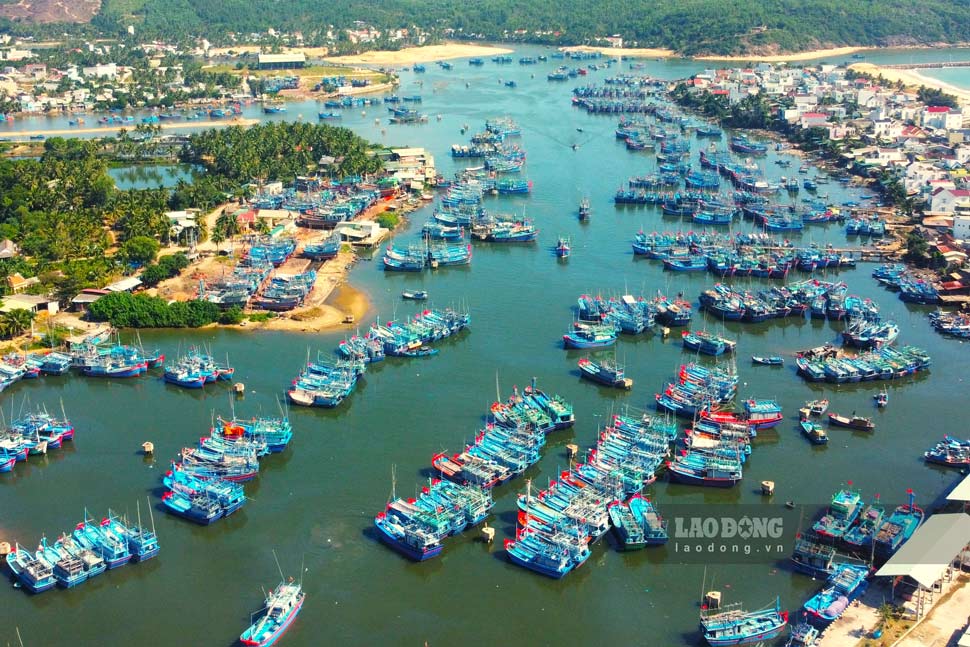 Fishermen's fishing boats anchored at Tam Quan Fishing Port (Gia Lai). Photo: Tue Lam