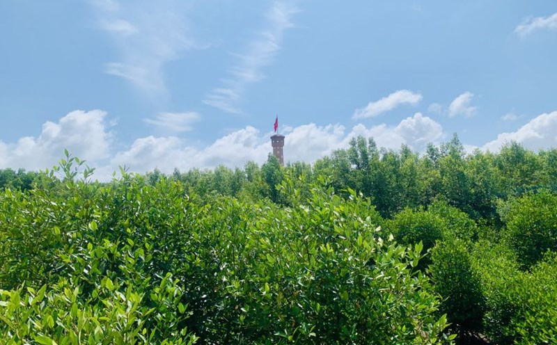 Flagpole in the middle of the mangrove forest of Mui Ca Mau National Park. Photo: An Le